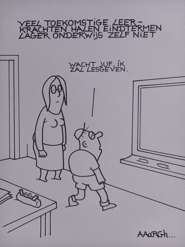 Originele cartoon: Eindtermen