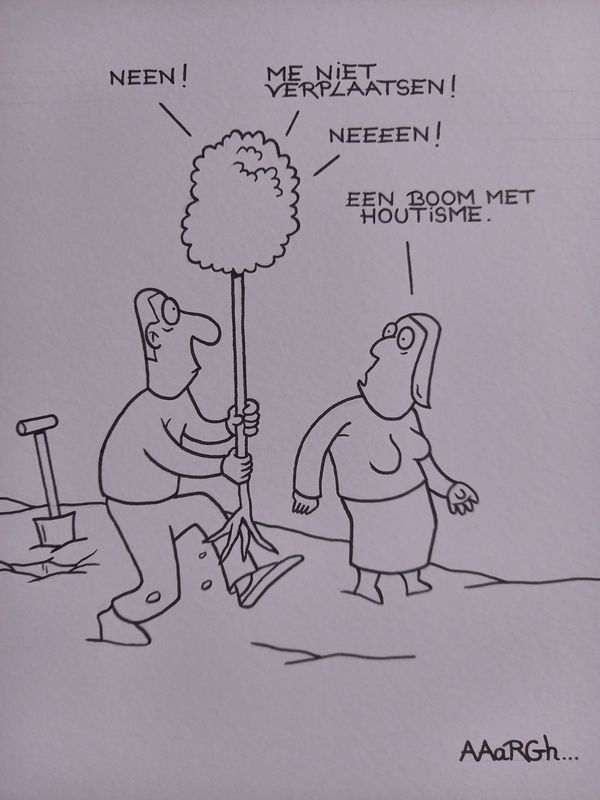 Originele cartoon: Houtisme