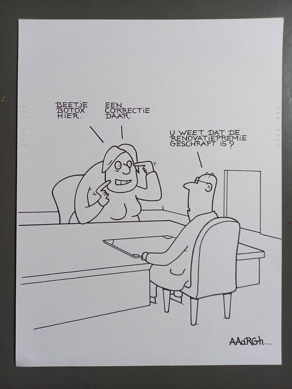 Originele cartoon: renovatiepremie