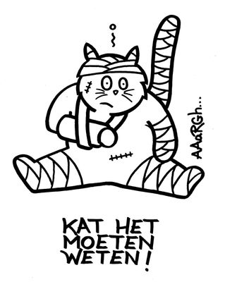 Ingekaderde originele tekening: KAT het moeten weten!