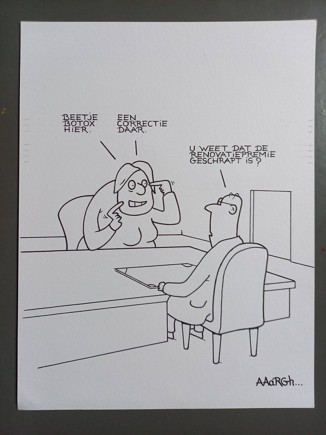 Originele cartoon: Renovatiepremie
