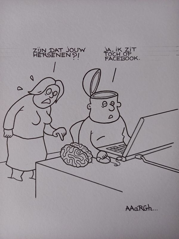 Originele cartoon: Facebook