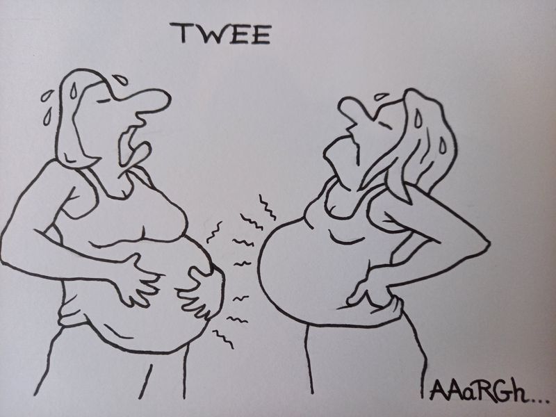 Originele cartoon: (T)wee