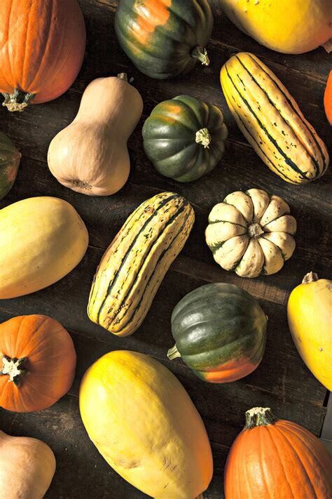 Cukes, Melons, Squash, Eggplant Cukes, Melons, Squash, Eggplant