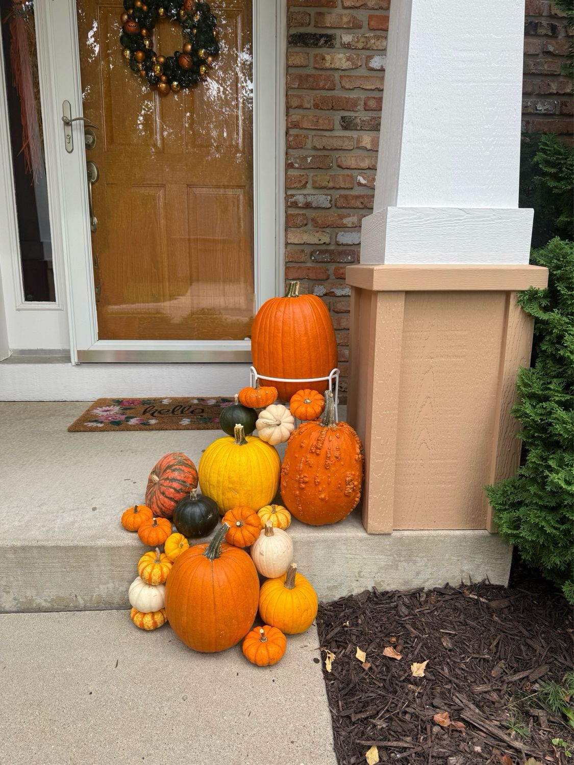 Small Pumpkin Package