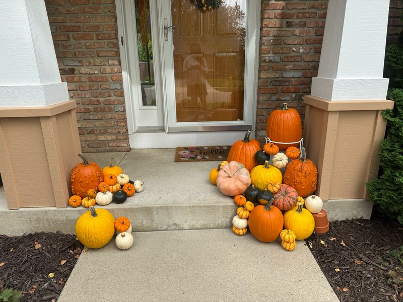 Large Pumpkin Package