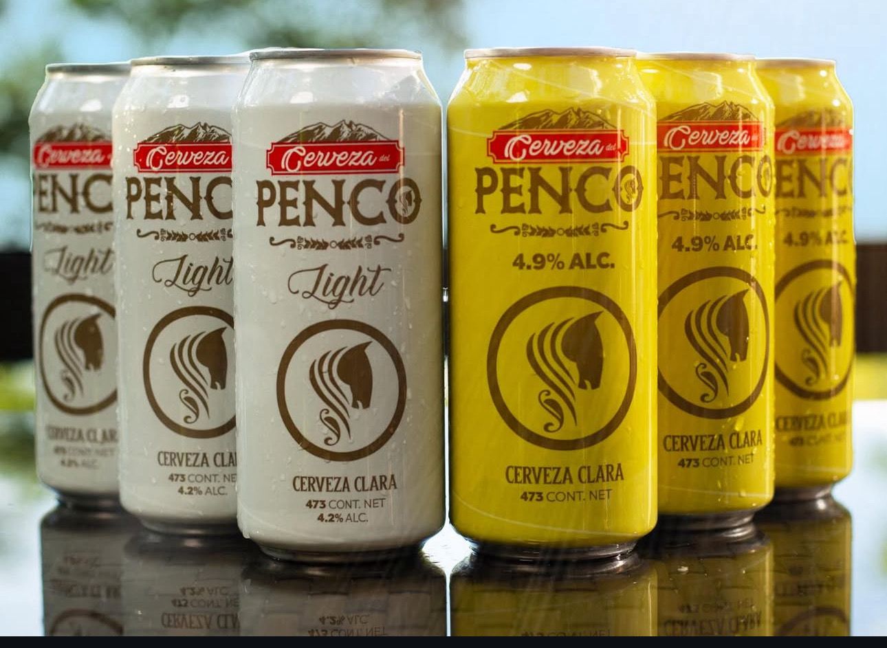 Cerveza penco MIXTO 24 pack 
