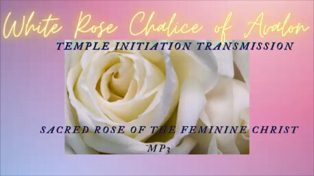 White Rose Chalice of Avalon Temple: Transmission initiation Activation 10mins Mp3