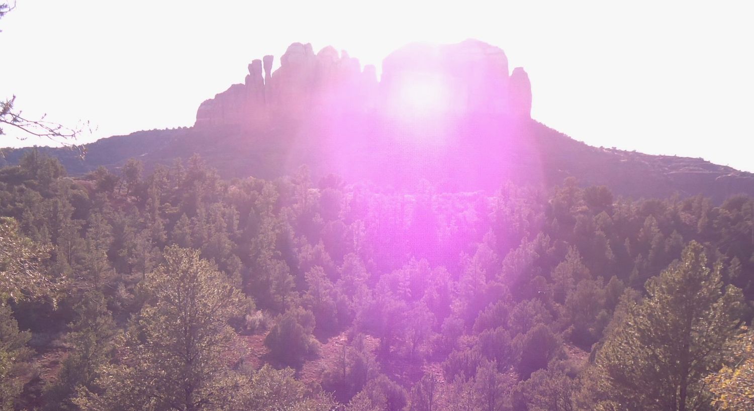 The Rose Ray Heart Atunement Mother Mary  land Journey • Cathedral Rock Vortex, Sedona AZ