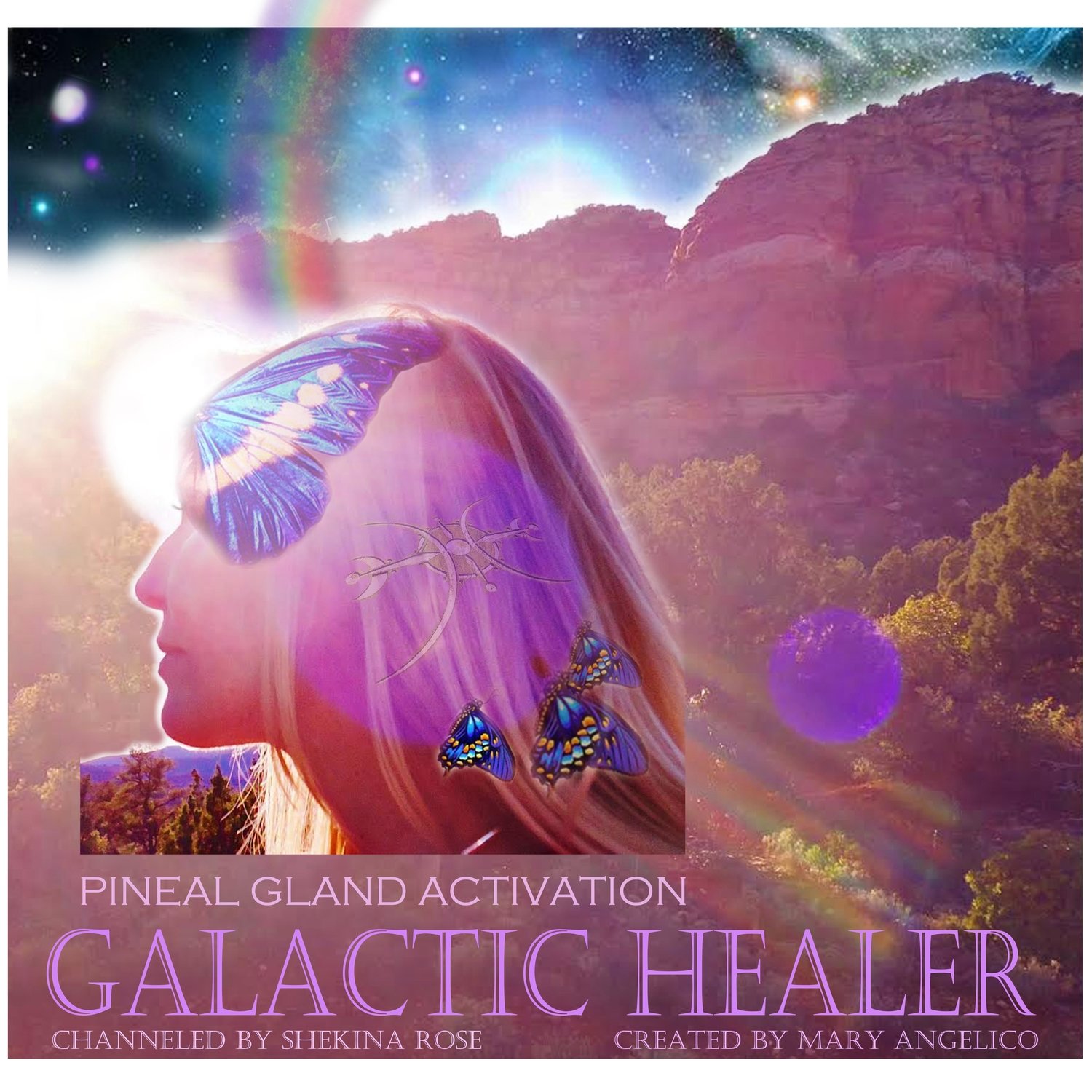Pineal Gland 3rd Eye Stargate Activation and Galactic Healer/Spiritual retreat Sale/$20.00/$55.00