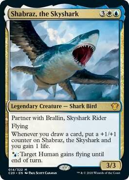 Shabraz, the Skyshark - EN FOIL