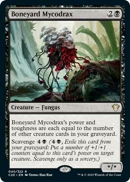 Boneyard Mycodrax - EN