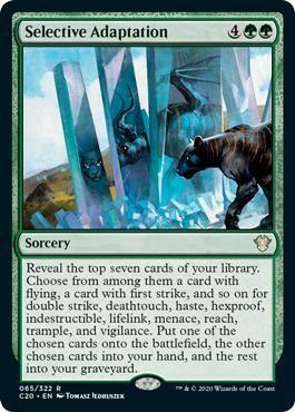 Selective Adaptation - EN