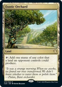 Exotic Orchard - EN