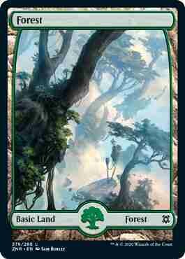 Full Art Basic Land - Forest