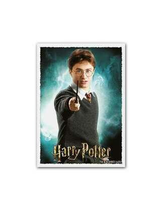 Dragon Shield - Art Sleeves - Wizarding World - Harry Potter (100)