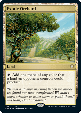 Exotic Orchard -  EN