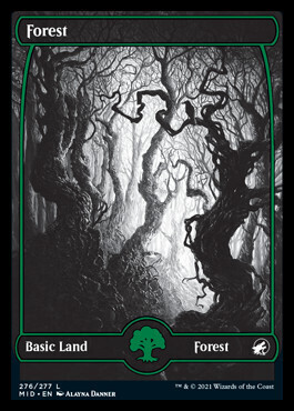 Forest Version 1 - EN (MID)