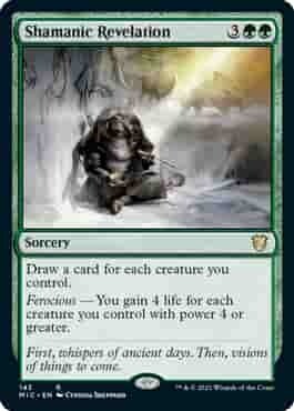 Shamatic Revelation - EN (MIC)