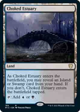 Choked Estuary - EN (MIC)