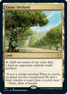 Exotic Orchard - EN (MIC)