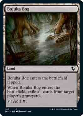 Bojuka Bog - EN (MIC)