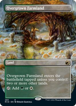 Overgrown Farmland  - EN (MID) FULLART