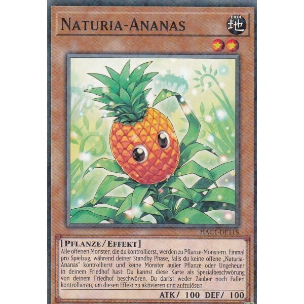 Naturia-Ananas (HAC1)