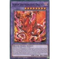 Albion der markierte Drache (SDAZ)