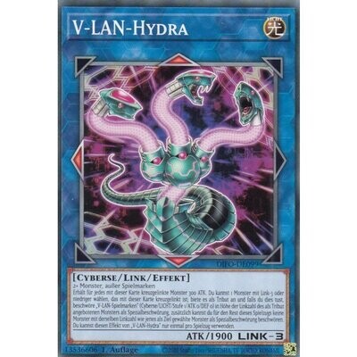 V-LAN Hydra (DIFO)