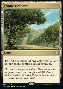 Exotic Orchard (Rare-DMC)
