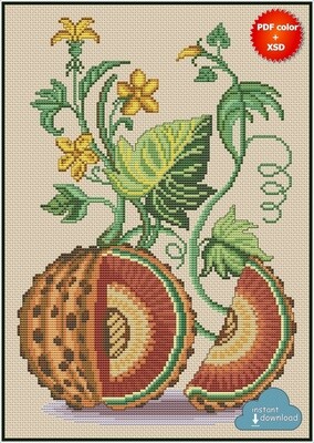 Squash Cross Stitch Pattern PDF + XSD. Instant Download. Only 5 in stock!