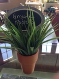 (G) Growth Factor