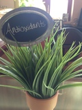(A) Antioxidants