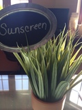 (S)  Sunscreen