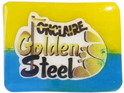 Fonclaire Golden Steel Magnet