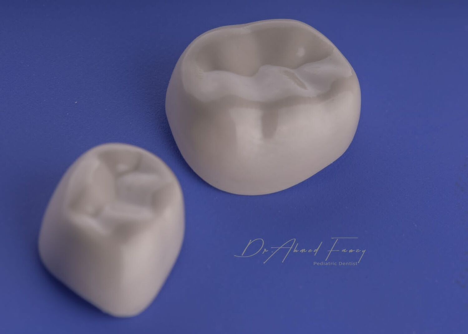 BioFlx 1st Molar