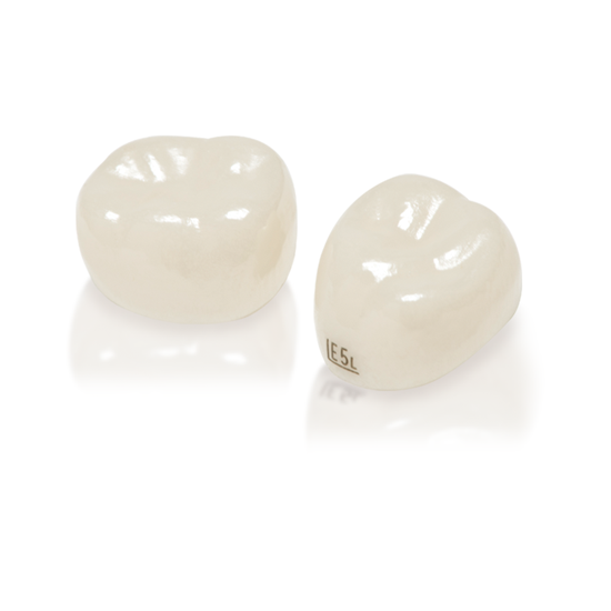 NuSmile ZR - Primary 2nd Molar