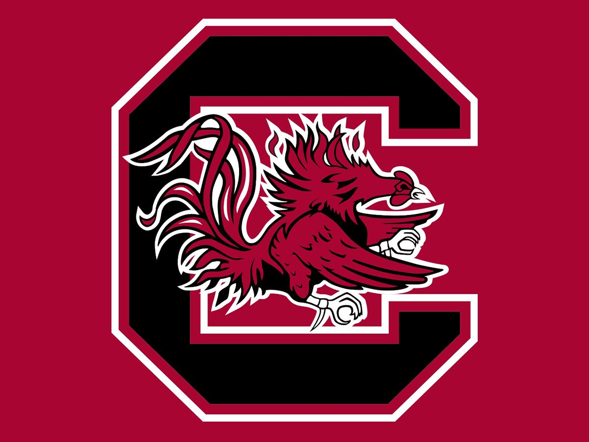 South Carolina Gamecocks College NCAA Birthday Invitation Ticket Style