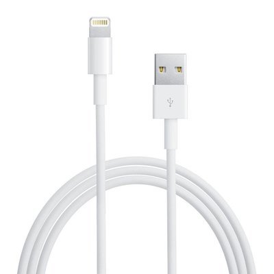 Apple 1 METER  8 PIN Lightning USB For iPhones, No Box Charge And Sync