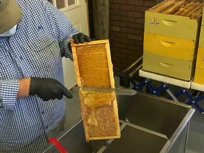 Bohemia Apiary Extraction Service ($2 - $2.50 Frame)