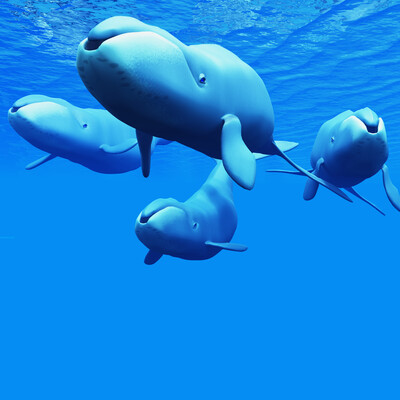 Longevity with the Bowhead Whales