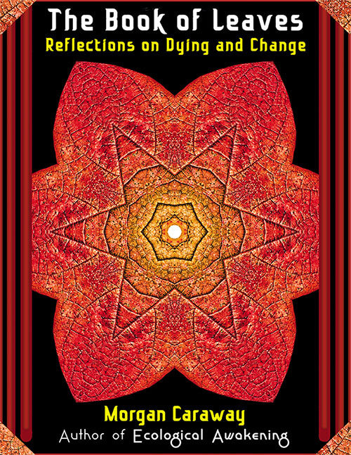 The Book of Leaves: Reflections on Dying and Change