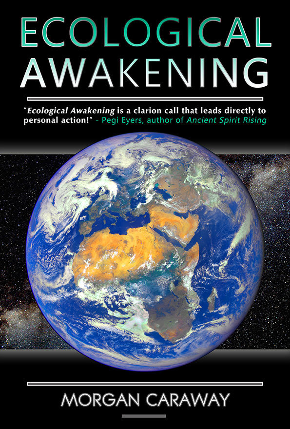 Ecological Awakening