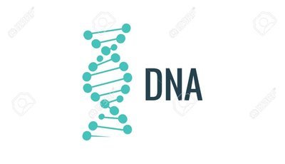 DNA, RNA and miRNA Extraction Kit
