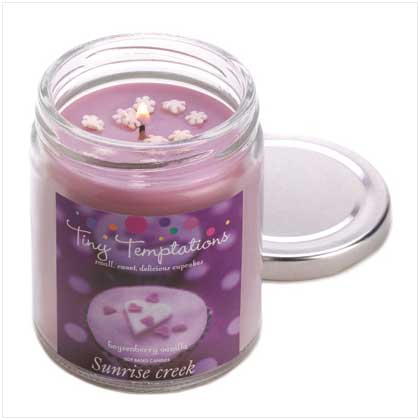 BOYSENBERRY SCENT CANDLE