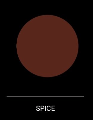Spice- Lip Pencil