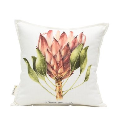 Protea cynaroides1 Scatter Cushion