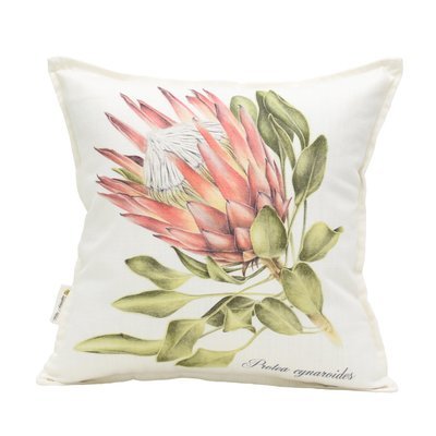 Protea cynaroides2 Scatter Cushion
