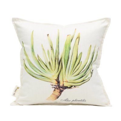 Aloe plicatilis Scatter Cushion